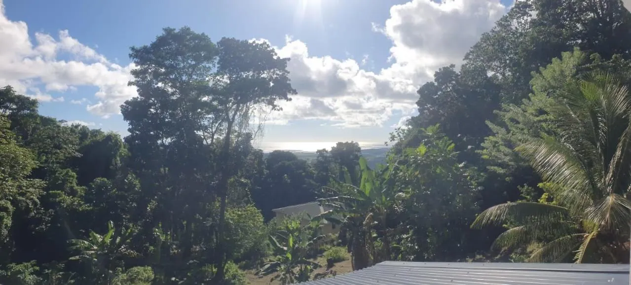Villa Les Mahoganys Riviere-Salee Lejlighed