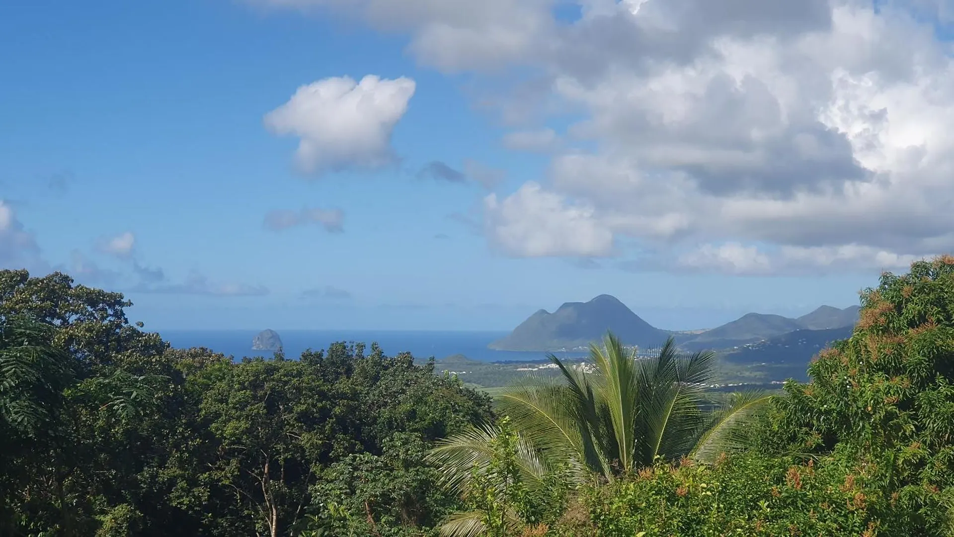 Villa Les Mahoganys Riviere-Salee Lejlighed